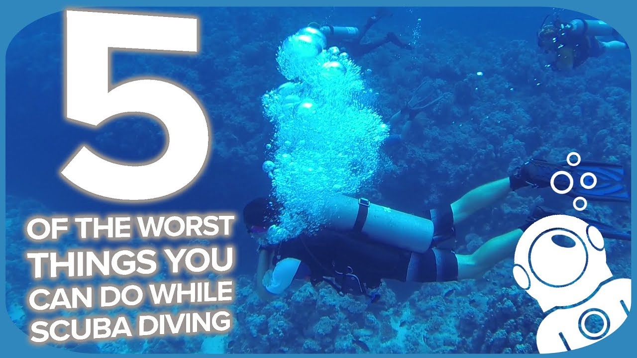 5 Of The Worst Things You Can Do While Scuba Diving
