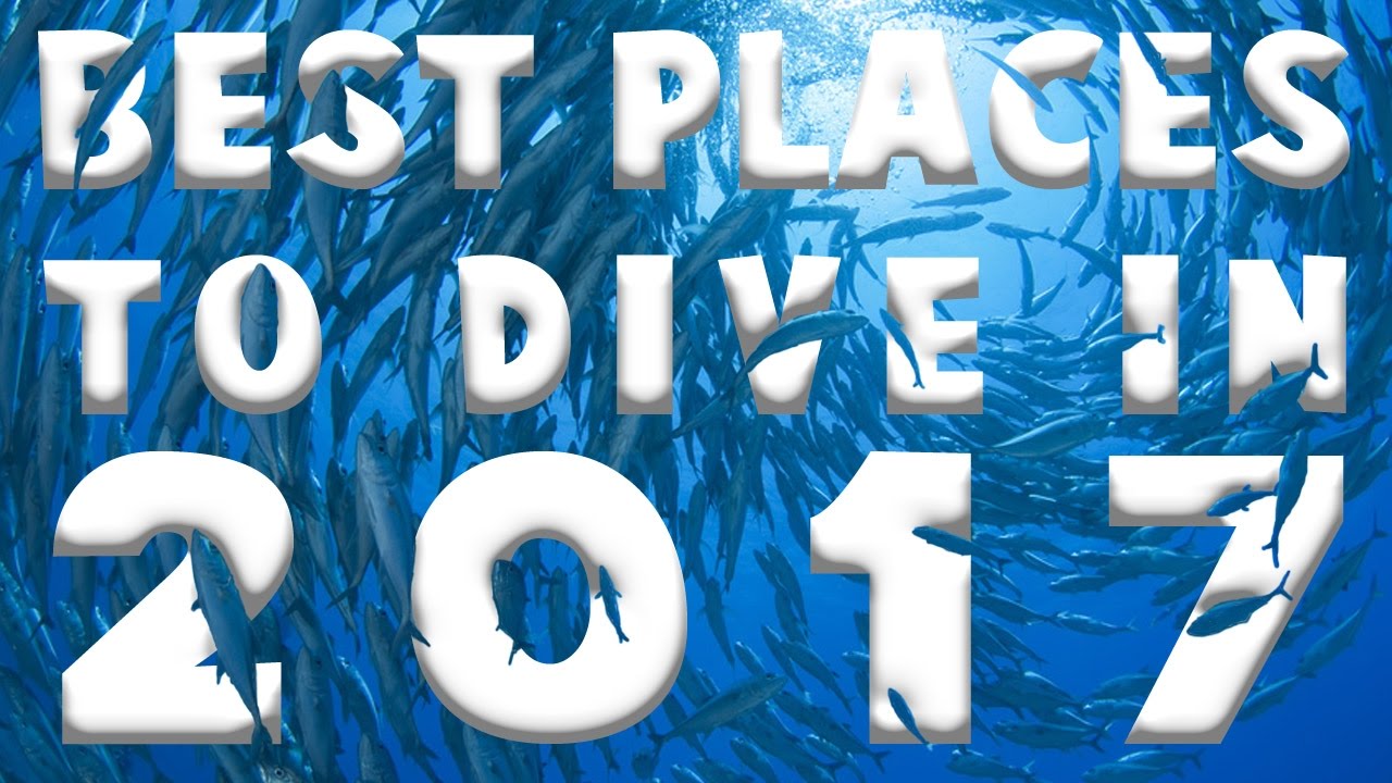 Best Places to Dive in 2017