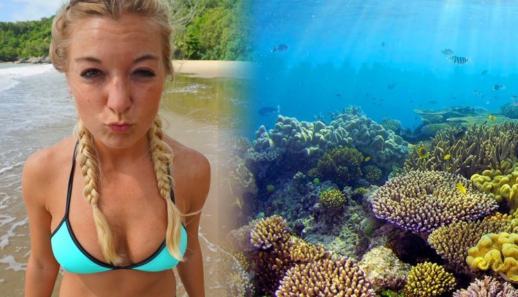 DIVING THE GREAT BARRIER REEF