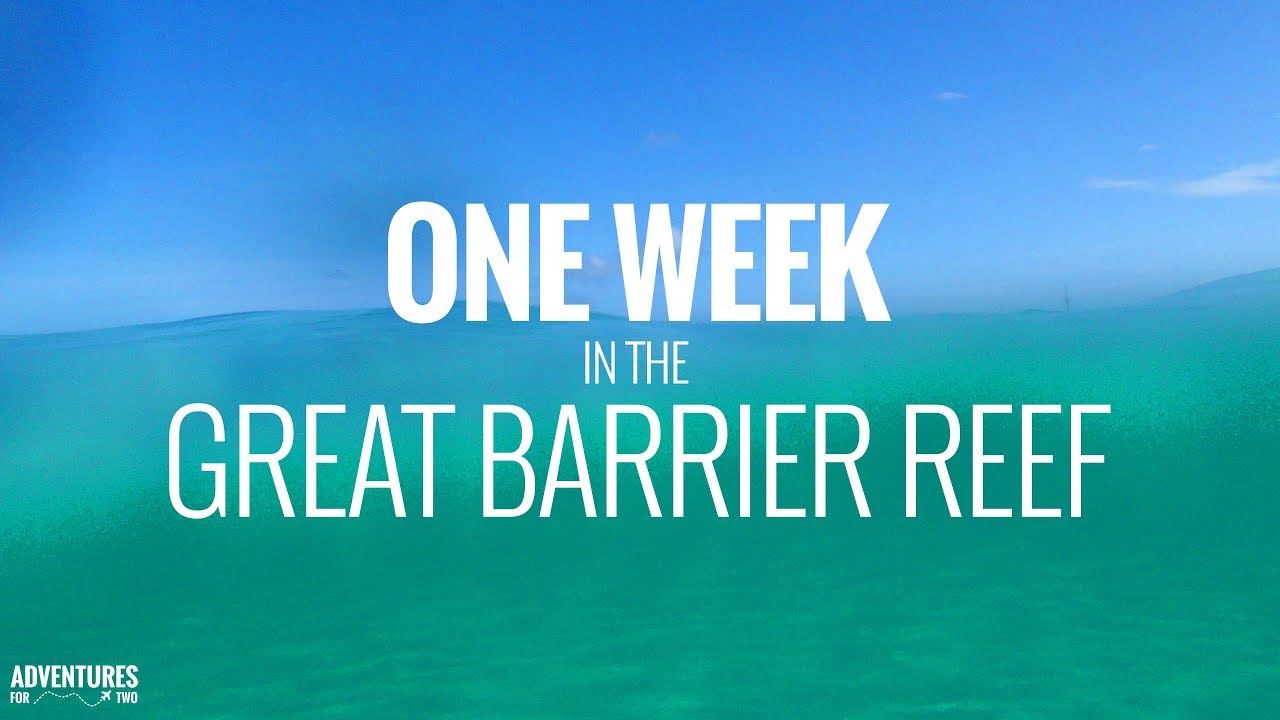 Great Barrier Reef: 1 Week of Scuba Diving and Snorkeling in 4K