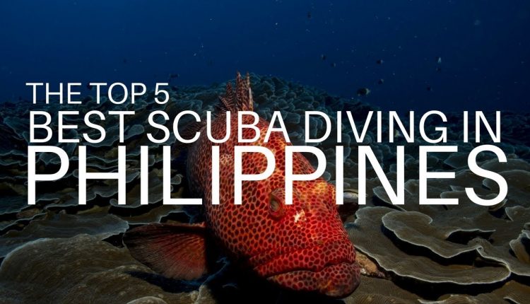 Scuba Diving Philippines - The top 5 dive sites in the country