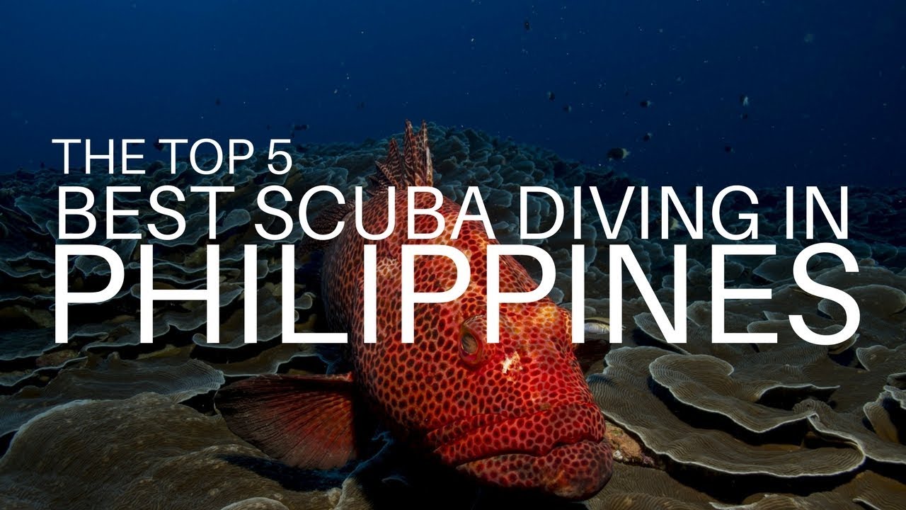 Scuba Diving Philippines - The top 5 dive sites in the country
