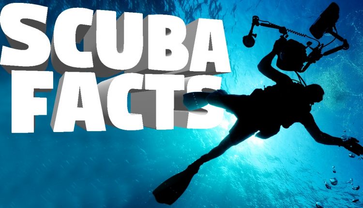 Interesting Facts You Never Knew About Scuba Diving