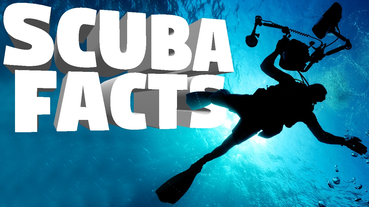 Interesting Facts You Never Knew About Scuba Diving