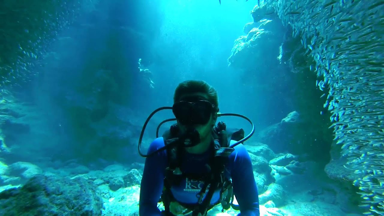 GoPro: Fish Fantasia | Beautiful HD Scuba Diving Edit