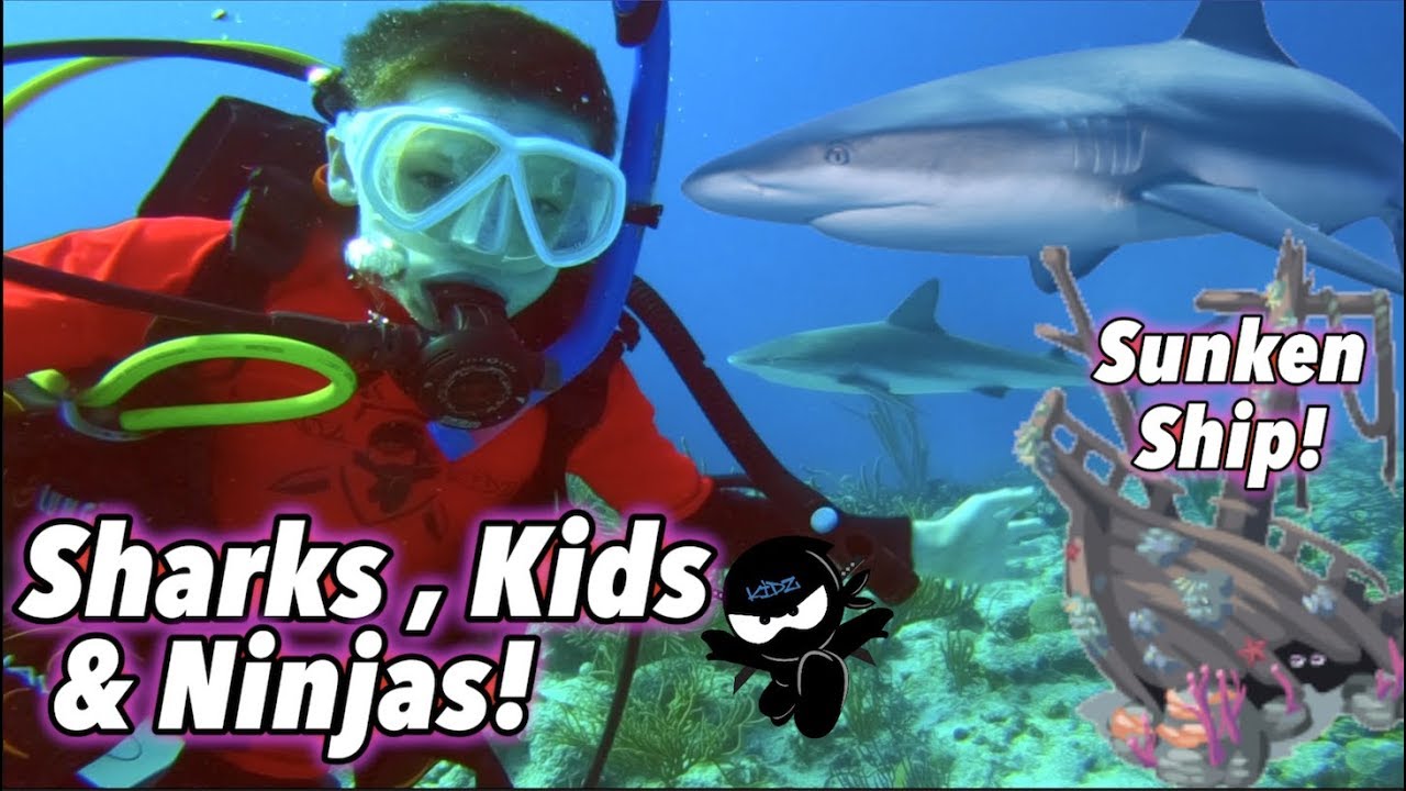 We swam with Sharks & found a Sunken Ship! (Bahamas) III Ninja Kidz TV