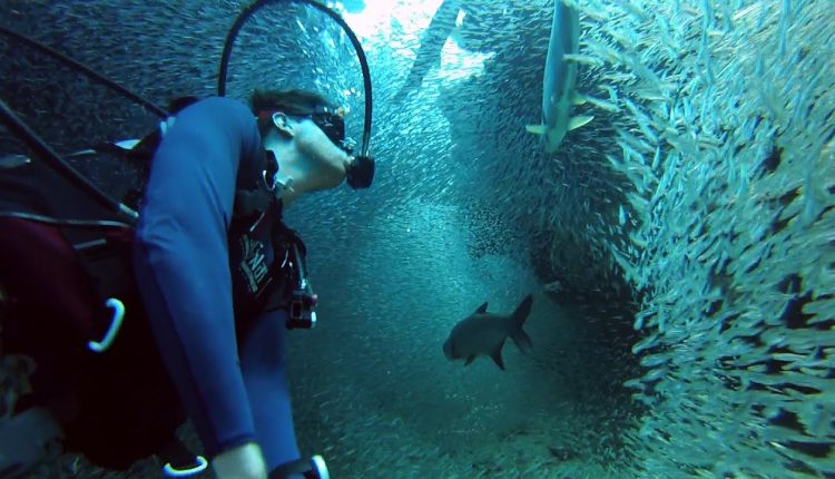GoPro: Enchanting Scuba Dive with 1 Million Fish