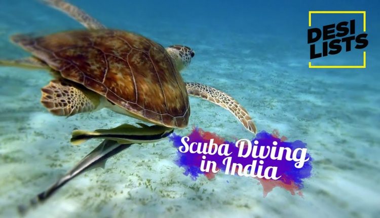 Scuba Diving in India - Top 5 Destinations