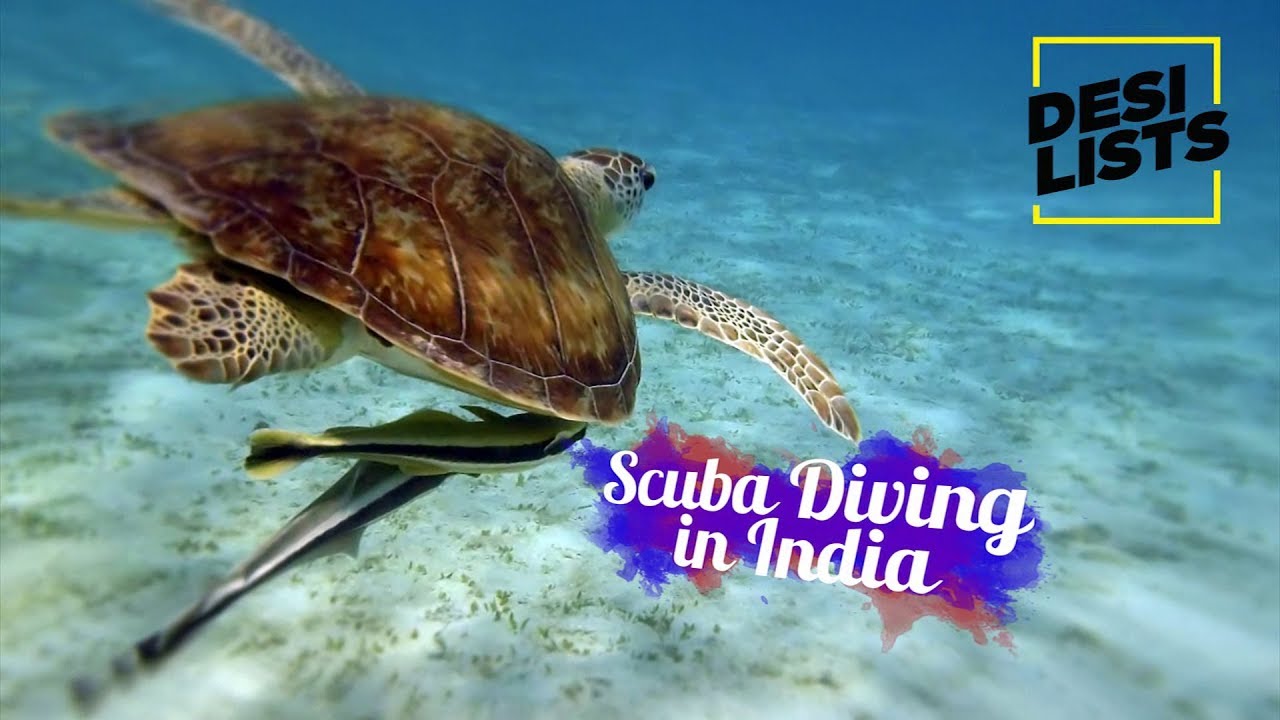 Scuba Diving in India - Top 5 Destinations