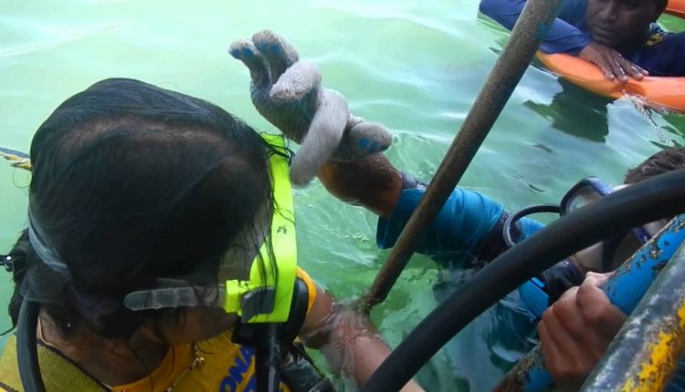 Scuba Diving Training Session