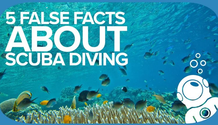 5 False Facts About Scuba Diving