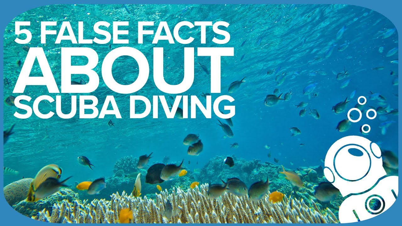 5 False Facts About Scuba Diving