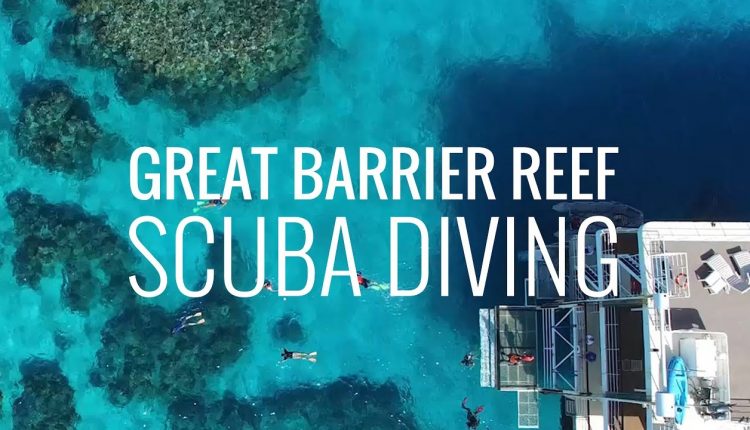 Scuba diving in the Great Barrier Reef in Australia in 4K