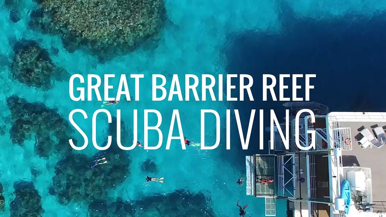 Scuba diving in the Great Barrier Reef in Australia in 4K