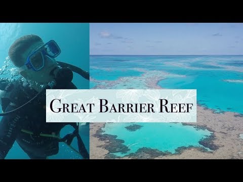 Diving at the Great Barrier Reef