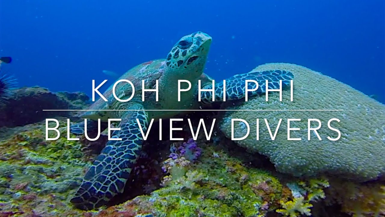 Koh PHi PHi Scuba Diving with Blue View Divers Thailand