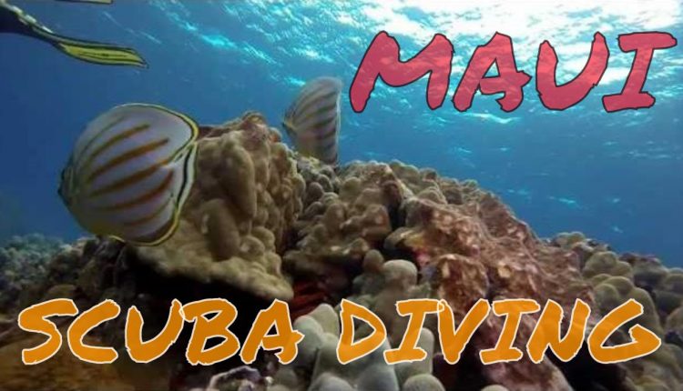 Maui epic scuba diving - Hawaii 2014 GoPro Hero 3