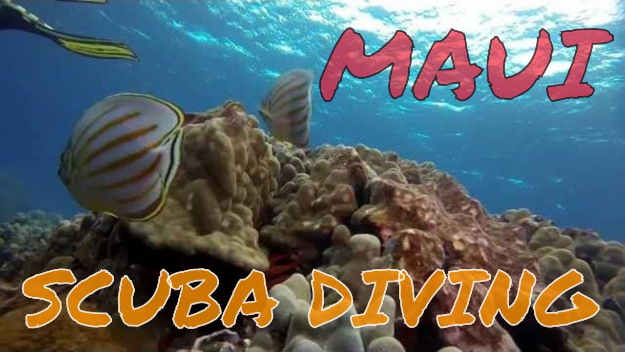Maui epic scuba diving - Hawaii 2014 GoPro Hero 3