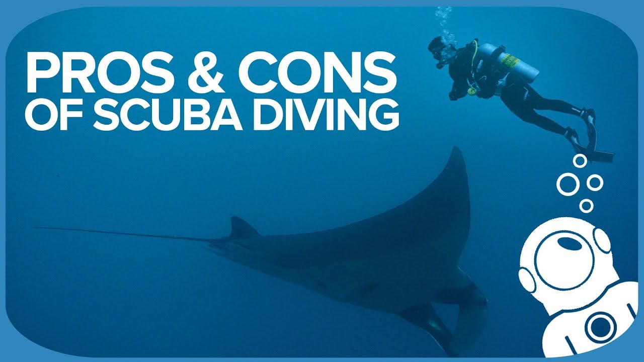 Pros And Cons Of Scuba Diving