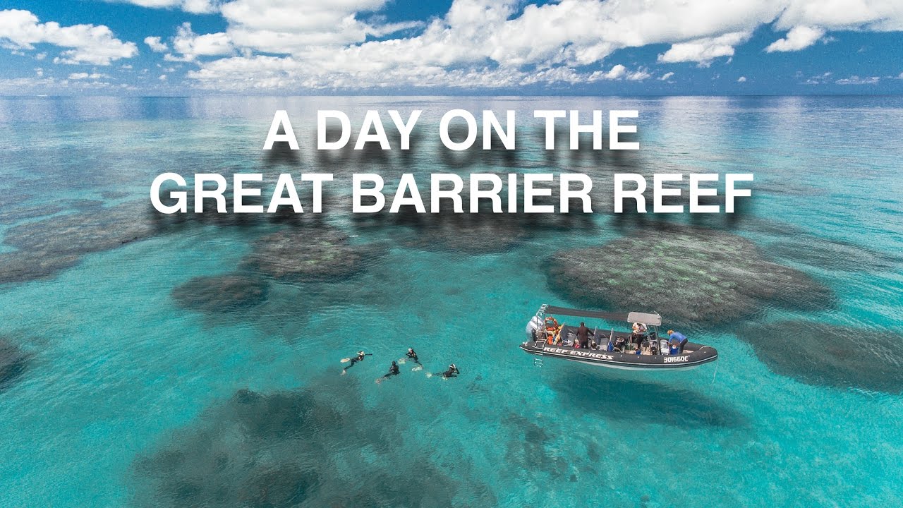 A DAY ON THE GREAT BARRIER REEF | Crystal Clear Waters Meets A Drone!
