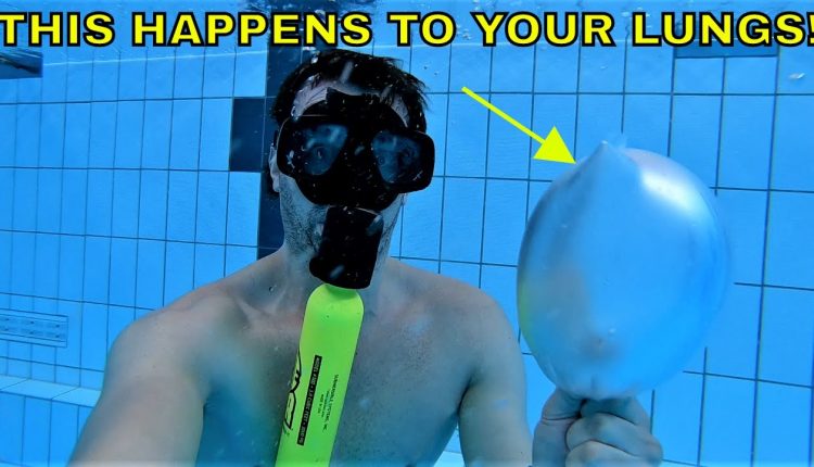 What happens If you hold your breath while scuba diving and freediving