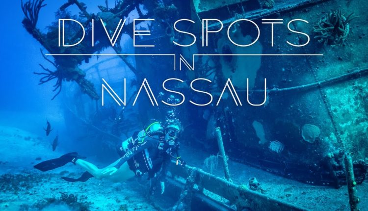 Best Dive Spots in Nassau | Living the Salt Life
