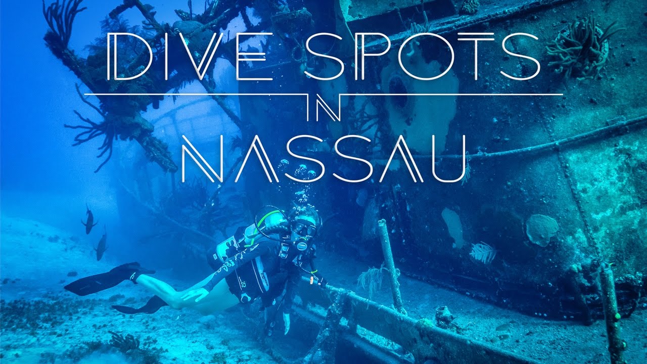 Best Dive Spots in Nassau | Living the Salt Life