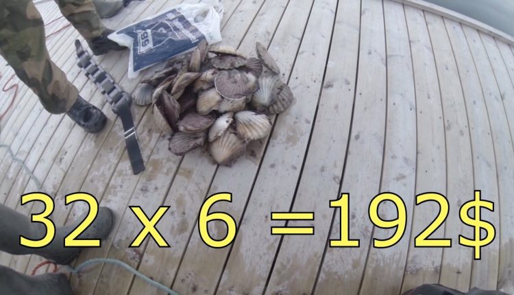 How to make 200$ in 30 min scuba diving (Have fun and make money)