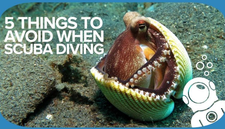 5 Things To Avoid When Scuba Diving