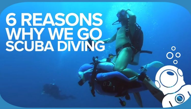 6 Reasons Why We Go Scuba Diving