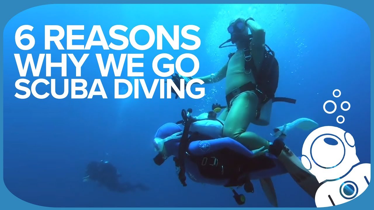6 Reasons Why We Go Scuba Diving