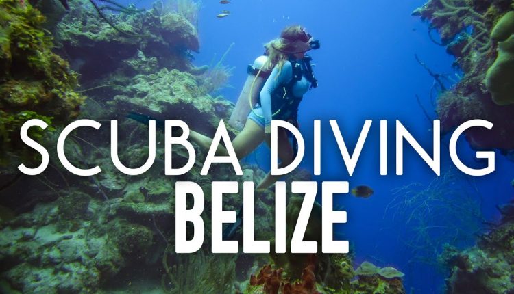 Scuba Diving The Blue Hole and Barrier Reef in Belize