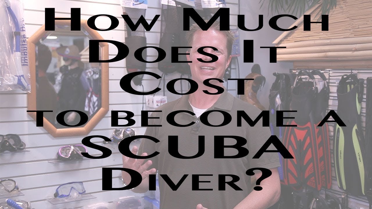 How Much Does It Cost To Become a SCUBA Diver