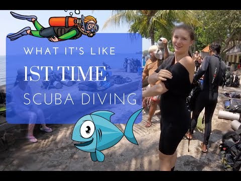 Discover Scuba Diving - First Time Try Dive!