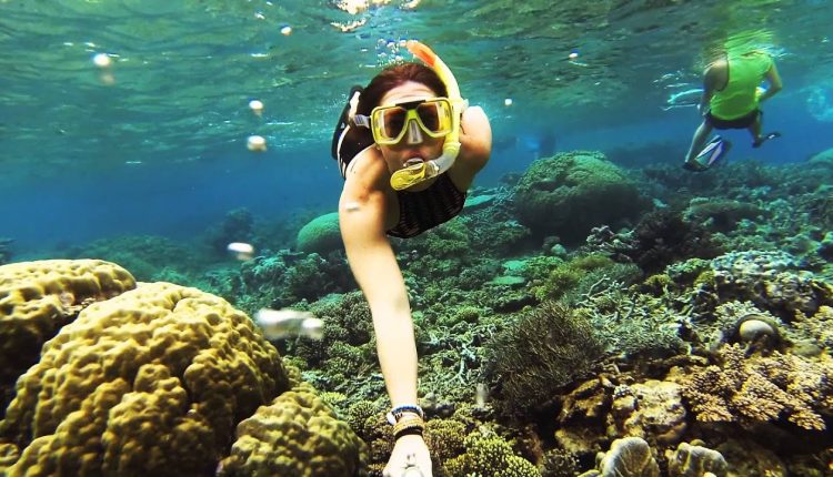 Snorkelling Great Barrier Reef, Cairns, Australia / GoPro HERO3 Black / June 2014