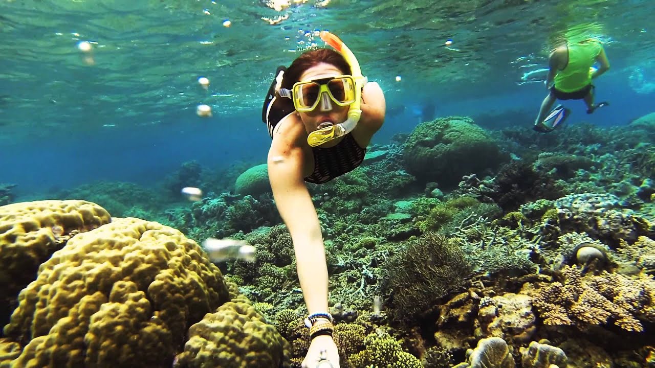 Snorkelling Great Barrier Reef, Cairns, Australia / GoPro HERO3 Black / June 2014