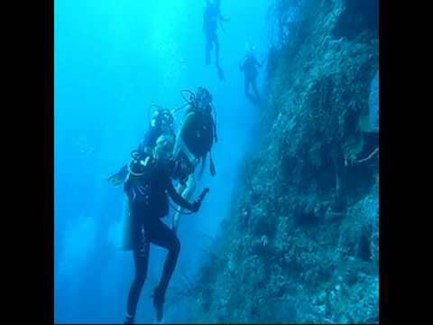 Potentially Fatal Scuba Diving Accident Intervention Bahamas 12/04/08 HD
