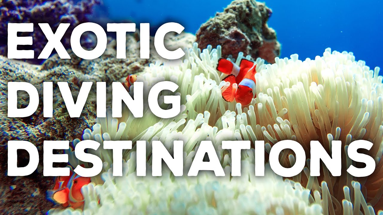 The Most Exotic Places to Dive