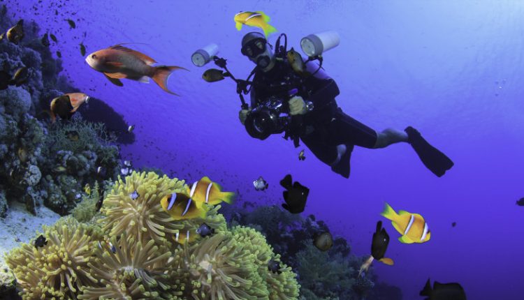 Scuba Diving in Mauritius