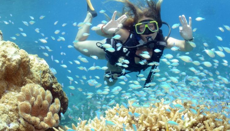 Why Scuba Diving is So Popular at the Great Barrier Reef