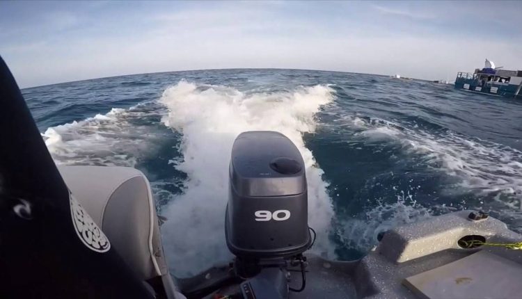 Crayfish diving on the Great Barrier Reef.