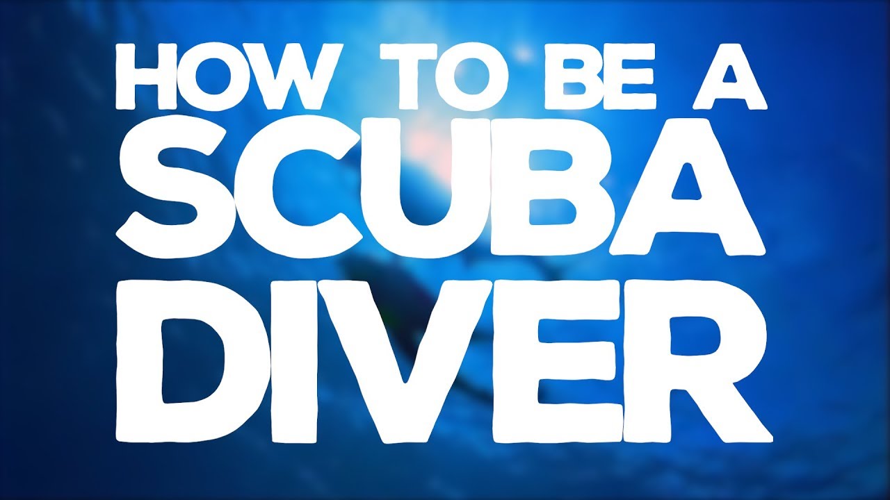 How To Be A Scuba Diver