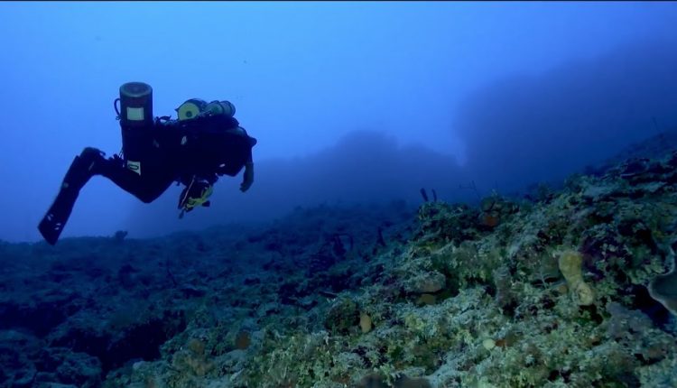 Dark Side of the Reef: Diving to the Mesophotic Zone
