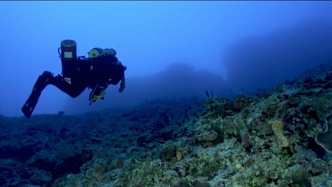 Dark Side of the Reef: Diving to the Mesophotic Zone