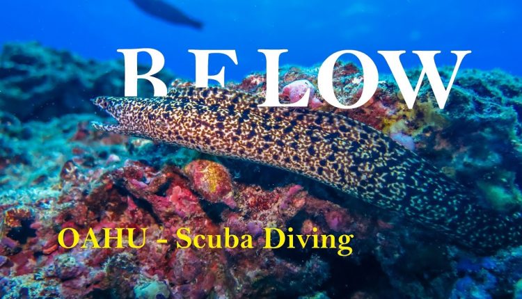 BELOW - Oahu Awesome Scuba Diving  GoPro 4K - Hawaii