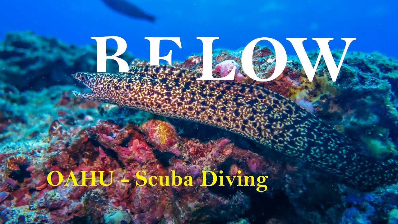 BELOW - Oahu Awesome Scuba Diving  GoPro 4K - Hawaii