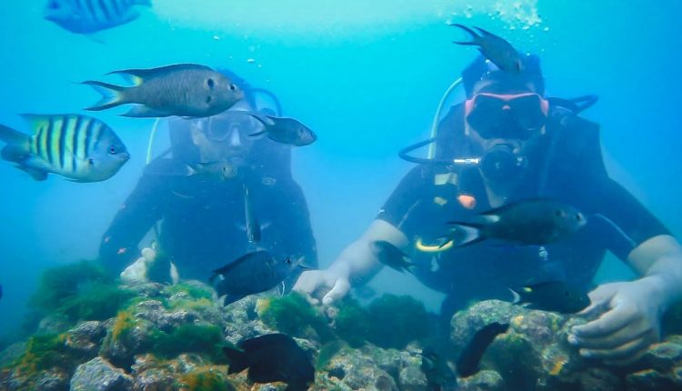 Cheapest Scuba Diving in India!!