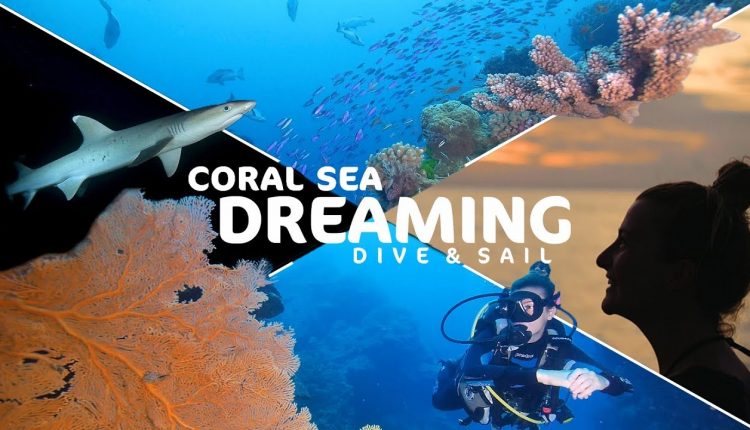 CORAL SEA DREAMING