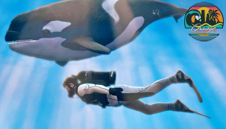 GTA 5 Roleplay | OCRP #11 - Scuba Diving Tour