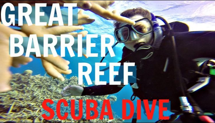 BEST SCUBA TRIP EVER | The Great Barrier Reef, Australia